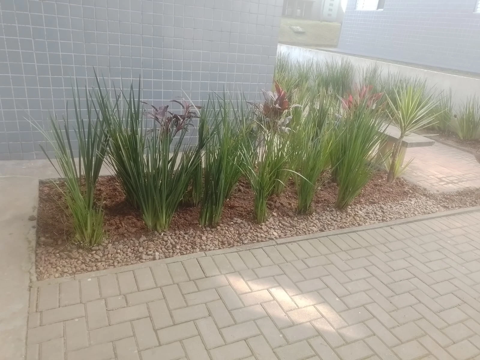 Canteiro com plantas ornamentais