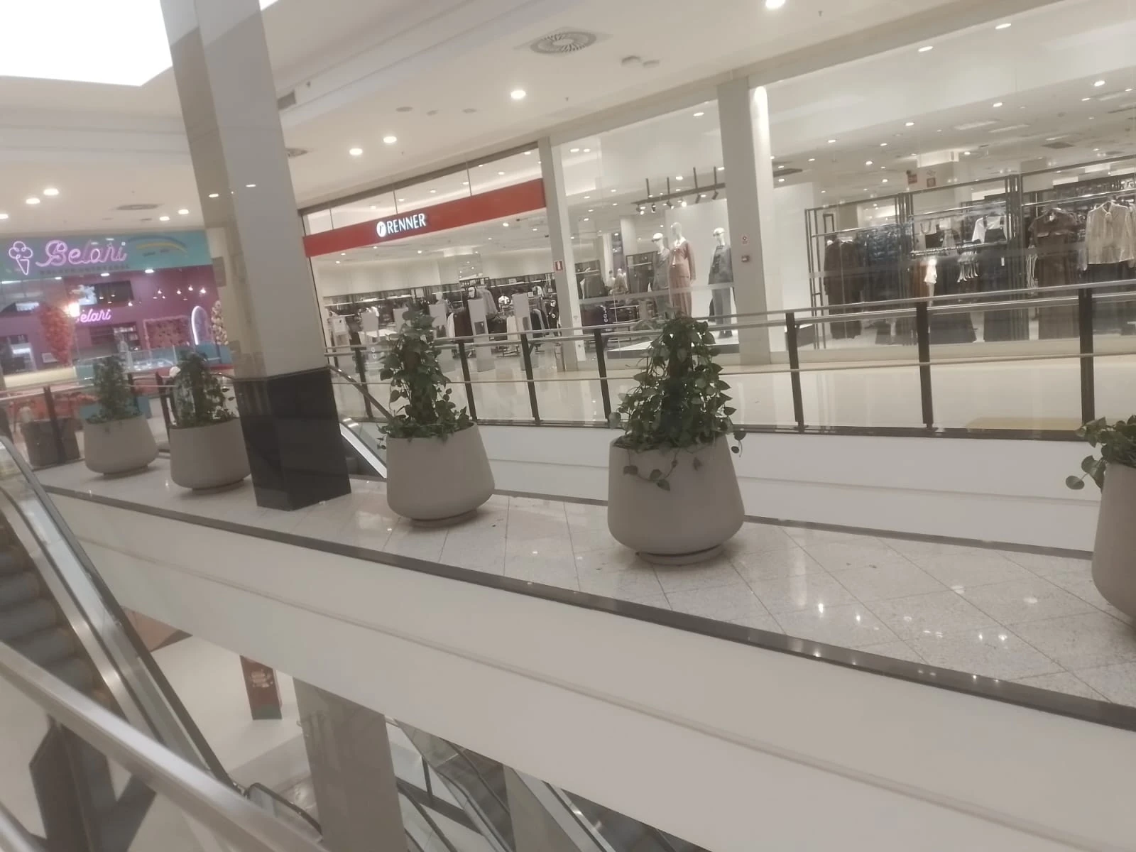 Vasos ornamentais em ambiente comercial