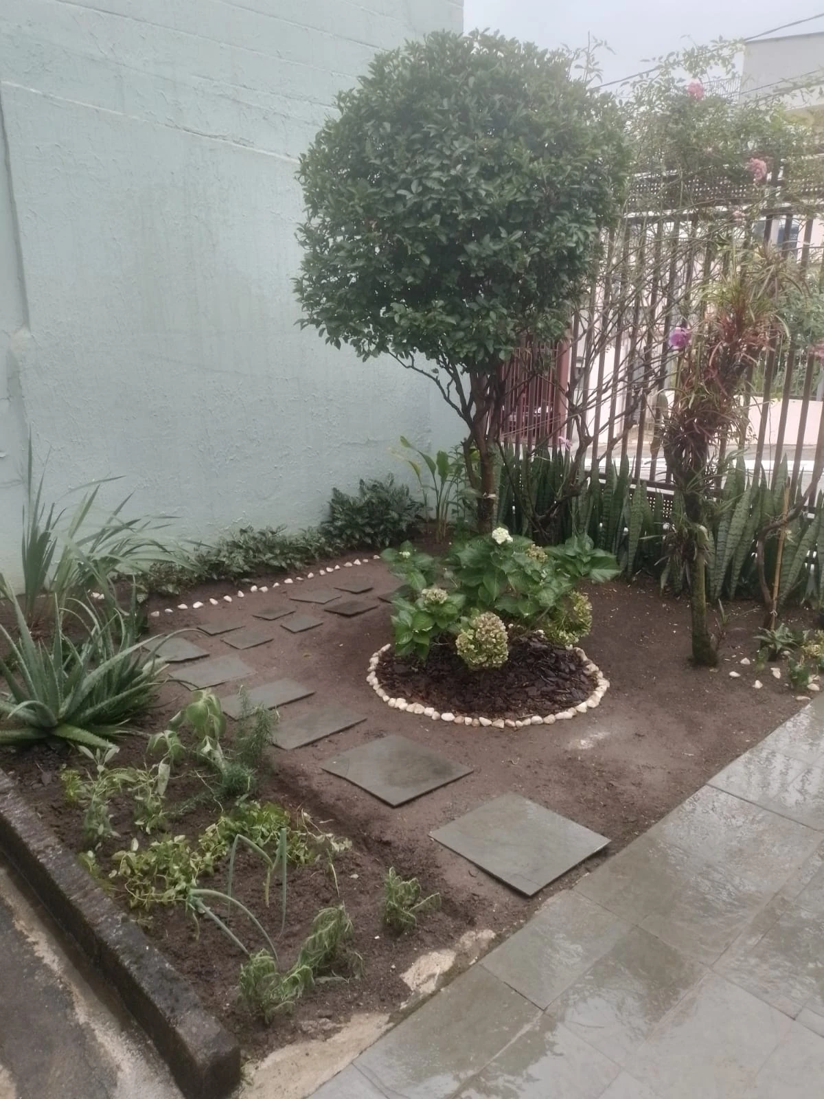 Jardim residencial com passeio de pedras