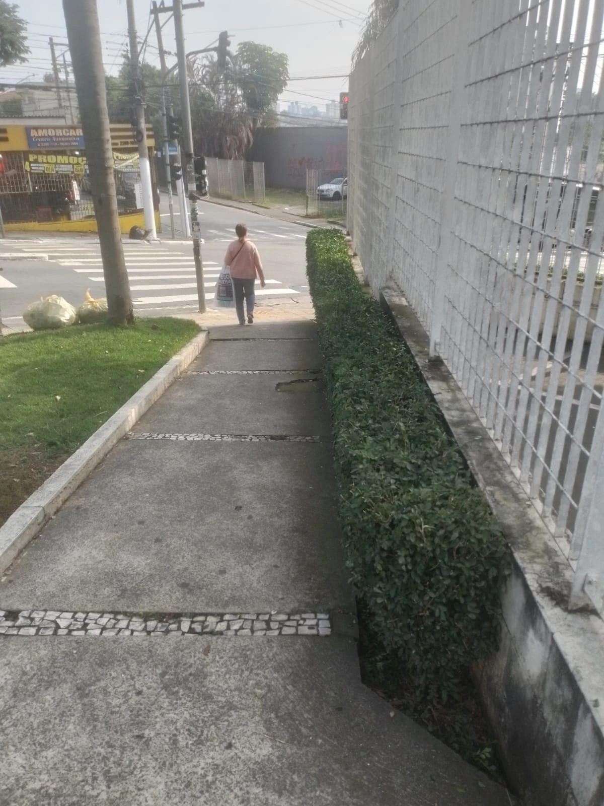 Cerca viva bem podada